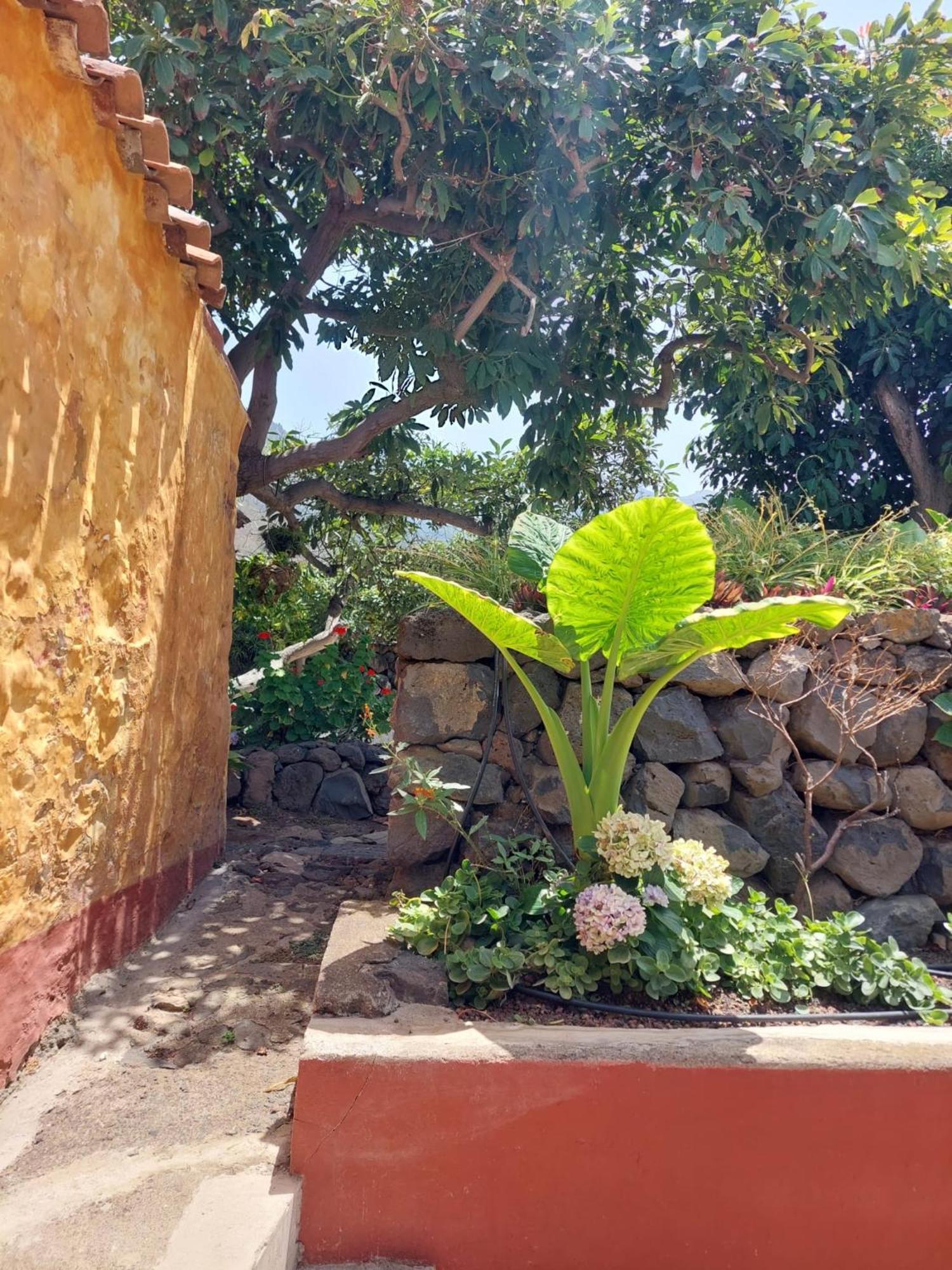 Finca La Plantacion _Agroturismo Ля Оротава Экстерьер фото