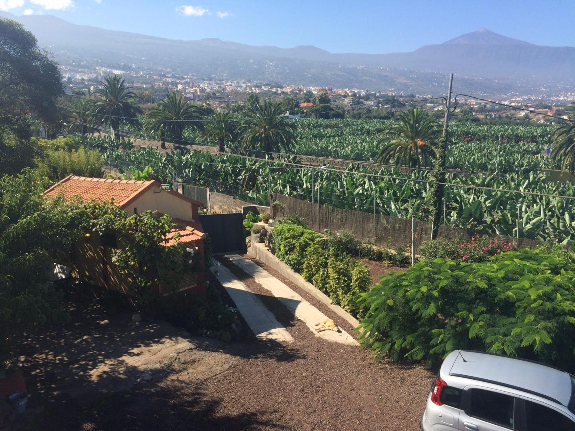 Finca La Plantacion _Agroturismo Ля Оротава Экстерьер фото